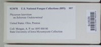 Image Associated With the Occurence